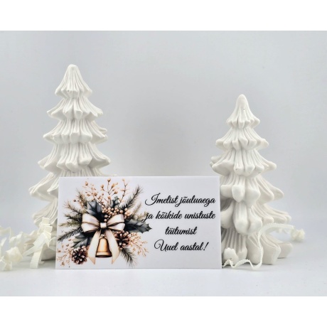 WhatsAppi pilt 2025-11-21 kell 21.12.15_8cf266f8.jpg