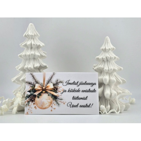 WhatsAppi pilt 2025-11-21 kell 21.12.15_a0eb3aa5.jpg