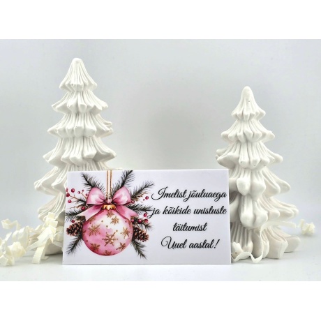 WhatsAppi pilt 2025-11-21 kell 21.12.16_b6497143.jpg