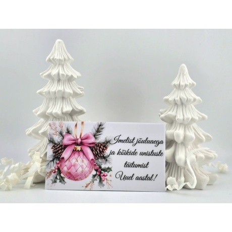 WhatsAppi pilt 2025-11-21 kell 21.12.16_e965ca9f.jpg