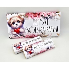 Sokolaad SÕBRAPÄEV 100G, 20G