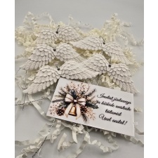 Riputatavad tiivakesed