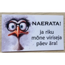 Magnet Naerata