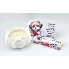 Komplekt Sõbrapäev