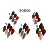 SOENG.JPG